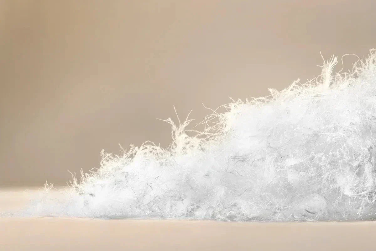 CUIN - Die Bauschkraft der Daune