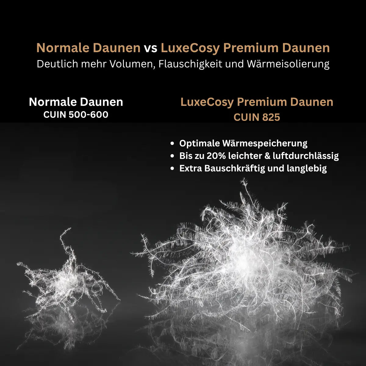 CUIN - Die Bauschkraft der Daunen von Luxecosy