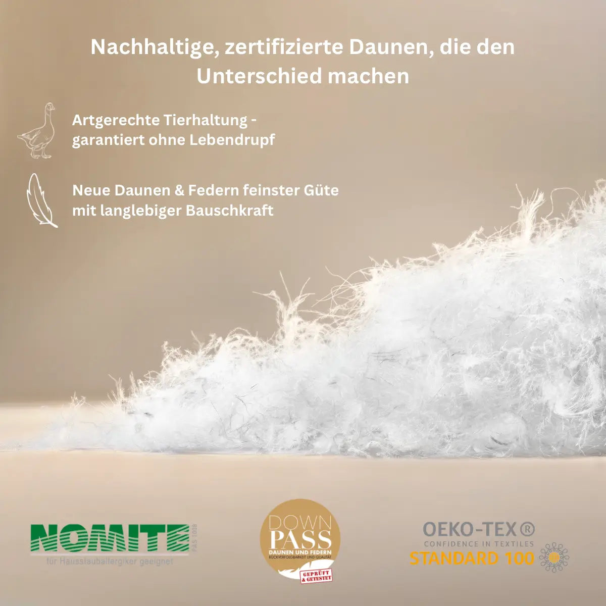 Feinste nachhaltige Daunen und Federn - garantiert ohne Lebendrupf von Luxecosy