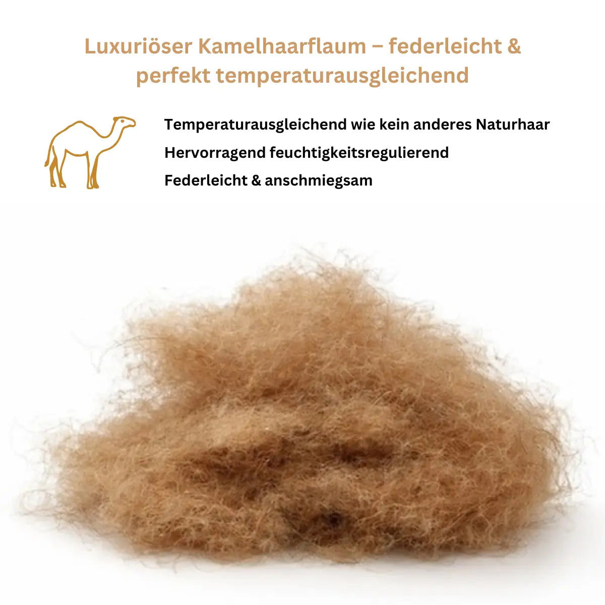 Kamelhaarflaum Füllung – natürliche, temperaturregulierende Naturfaser
