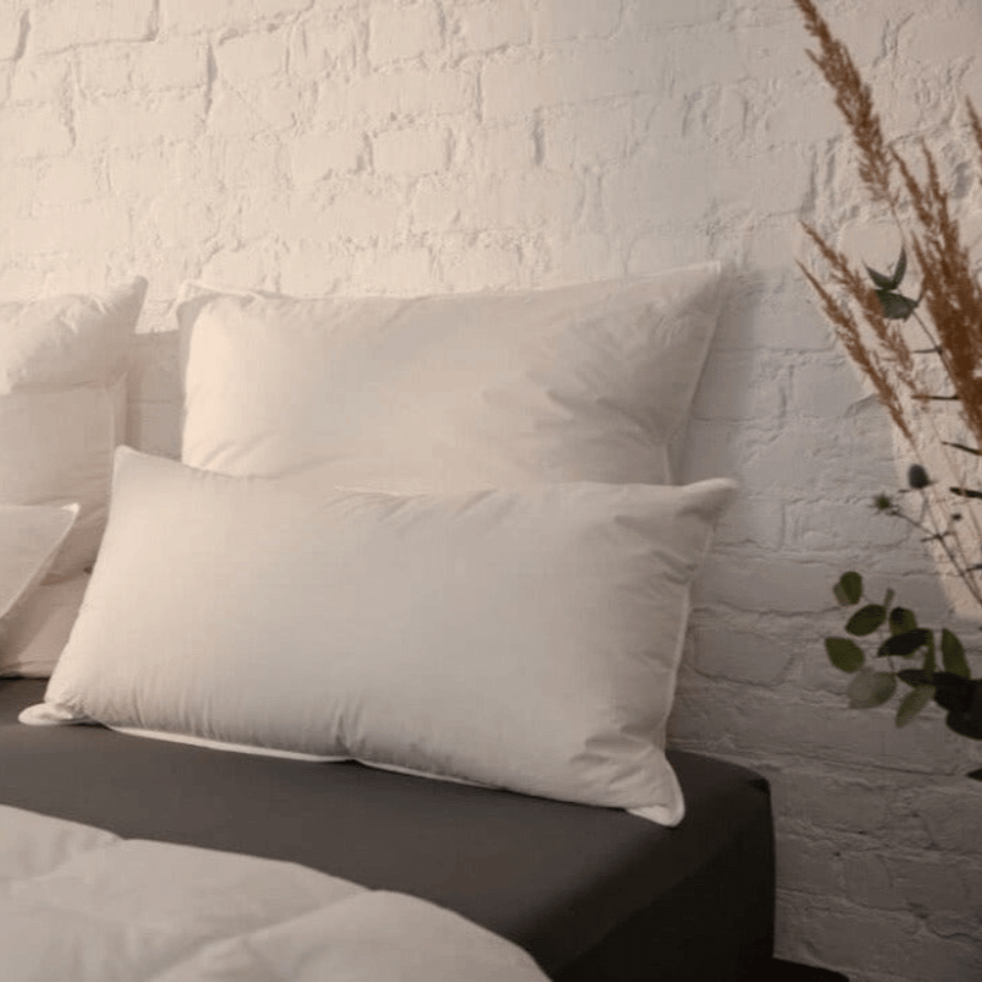 Das hochwertige Luxe Federkissen von Luxecosy mit der Stützkraft Fest.