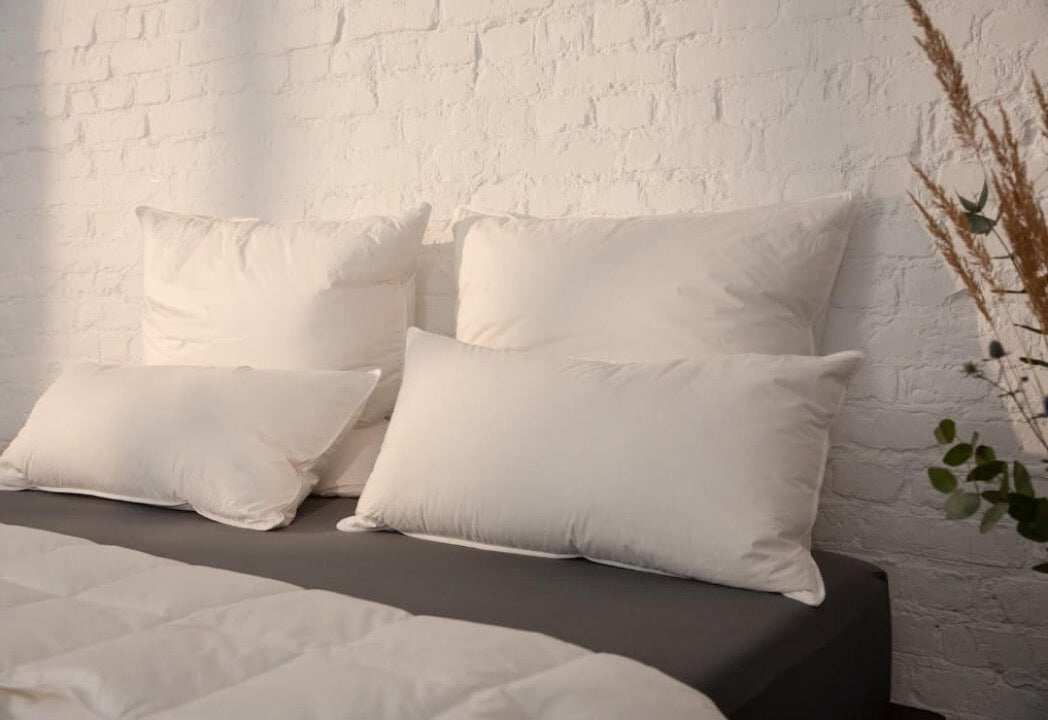 Das Premium Decken und Kissen Set mit 100% Daunen Typ Eiderdaune