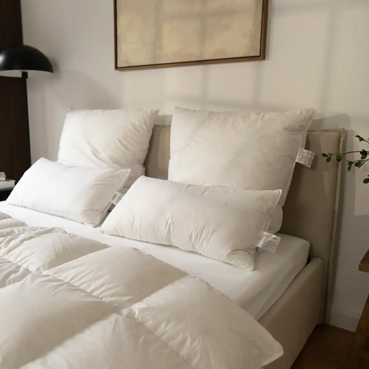 Luxecosy Pure 3-Kammer Daunenkissen – luxuriöses Kopfkissen mit optimaler Stützkraft