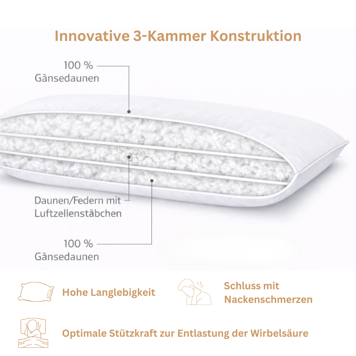 DIe innovative 3-Kammer Struktur im Querschnitt.