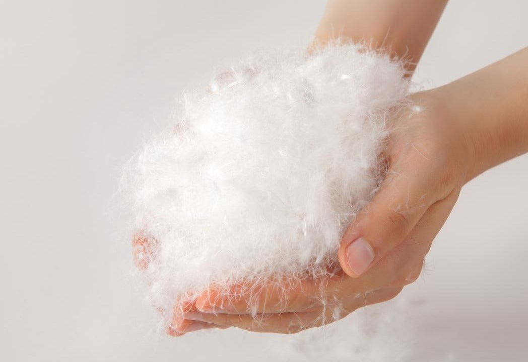 Die hochwertigen Daunen von Luxecosy sind fluffig und luxuriös. Jetzt Daunendecken und Daunenkissen entdecken.
