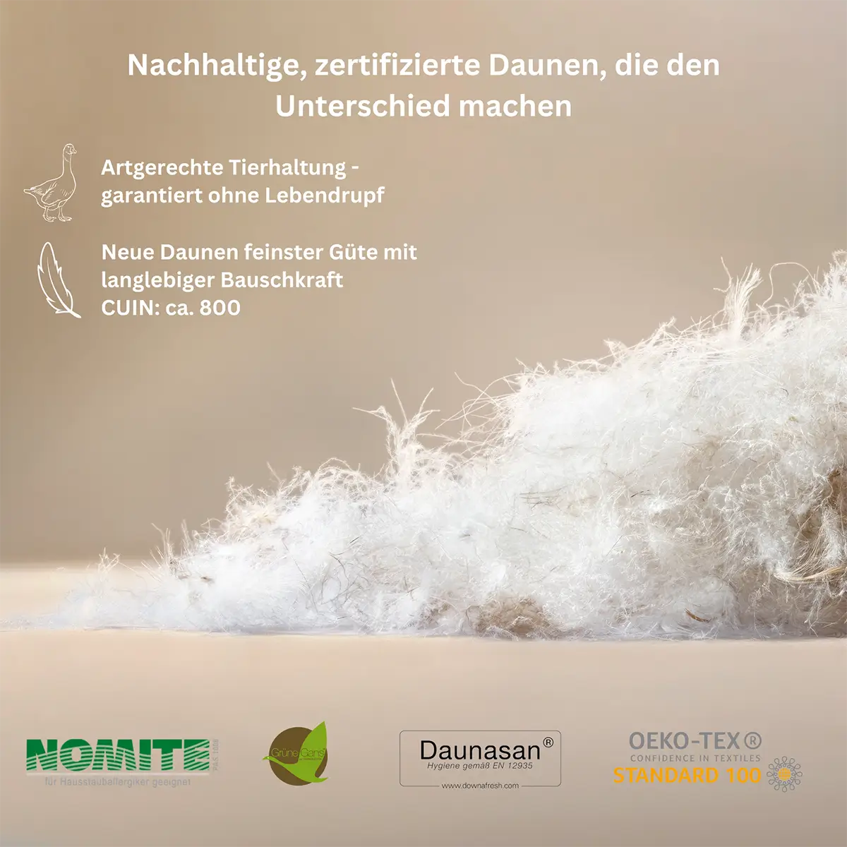 Nahaufnahme der Wildente Typ Eiderdaunen-Füllung der Premium Daunendecke und Kissen, flauschig, leicht und wärmeregulierend.