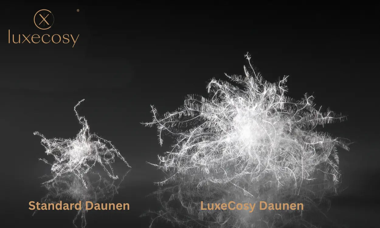 CUIN die Bauschkraft der Daune von Luxecosy.