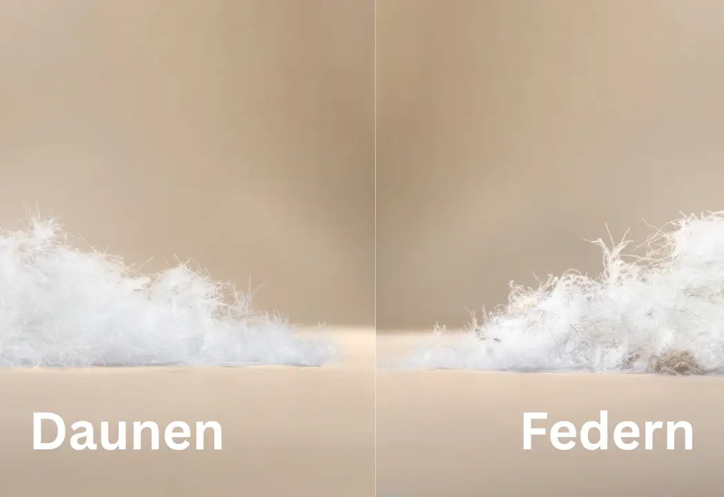 Was ist besser für ein Kopfkissen – Daunen oder Federn?
