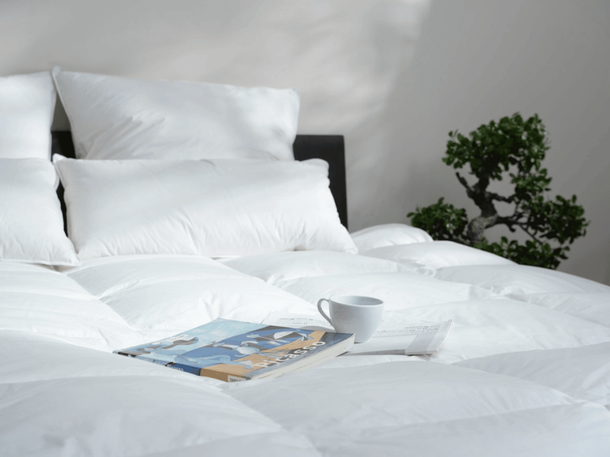 Down duvets 200x200 cm