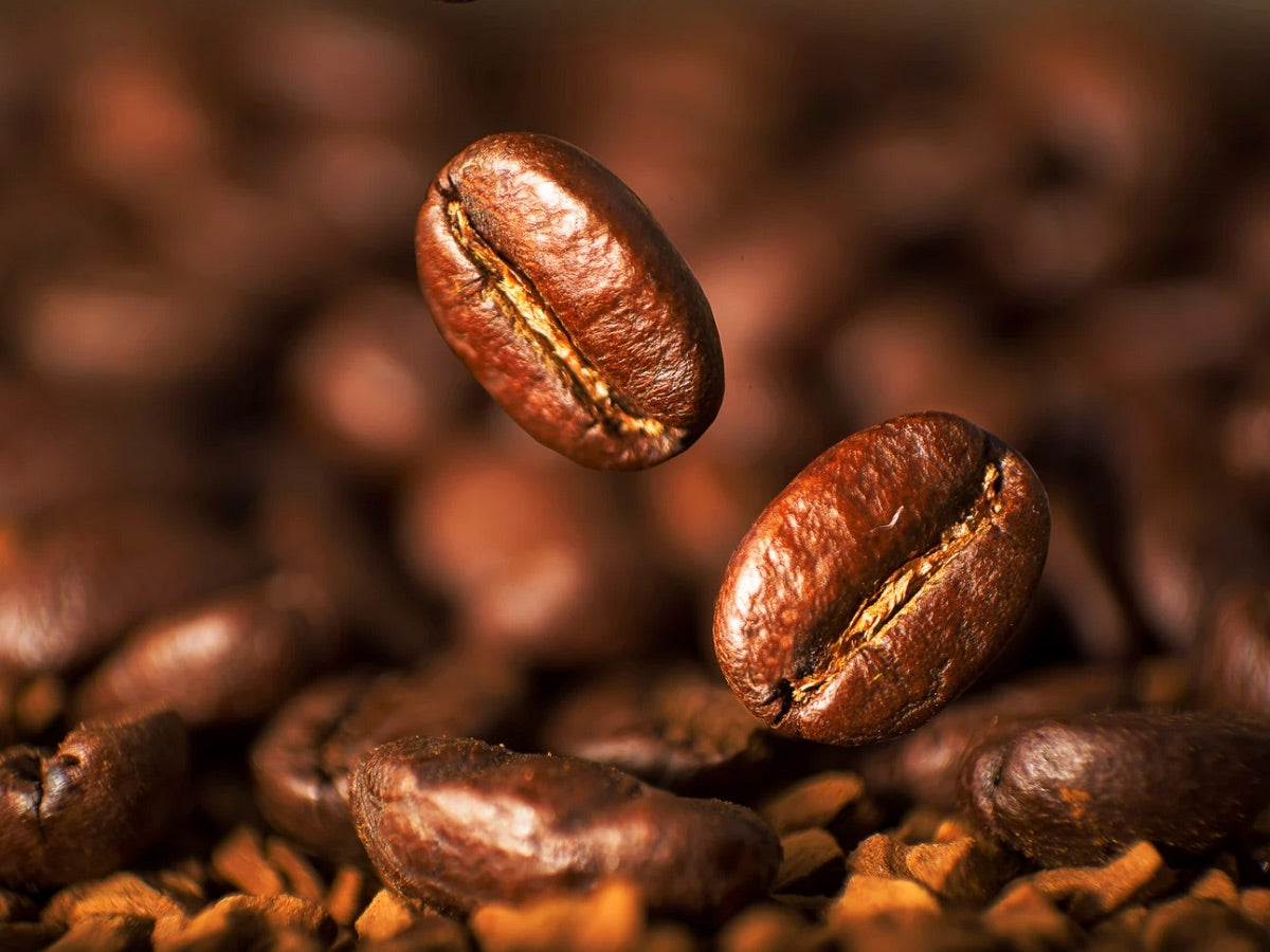Luxecosy Barista Kaffeebohnen – hochwertig, aromatisch und vollmundig. Perfekt für Espresso, Cappuccino und andere Kaffeespezialitäten.