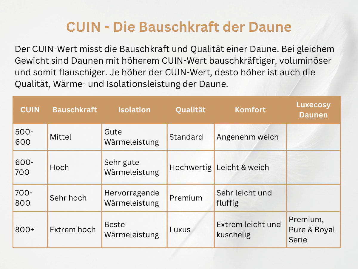 CUIN - Die Bauschkraft der Daunen von Luxecosy