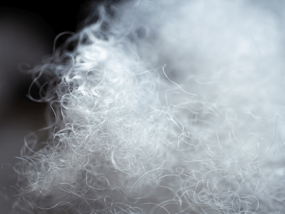 Down-like softness – completely down-free.
