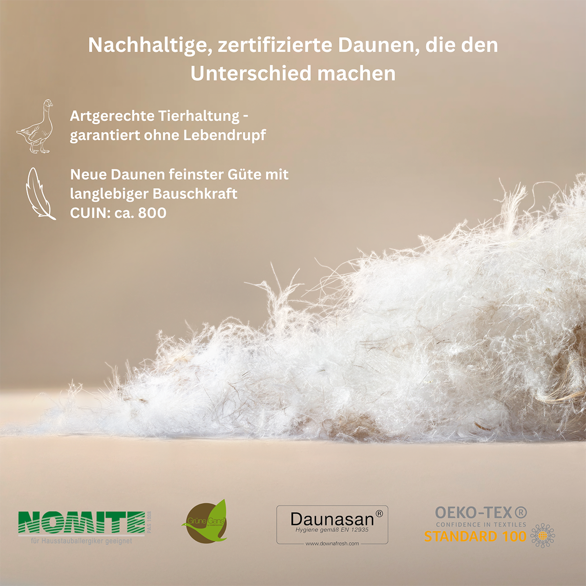 Nahaufnahme der  Wildente Typ Eiderdaunen-Füllung der Premium Daunendecke und Kissen, flauschig, leicht und wärmeregulierend.