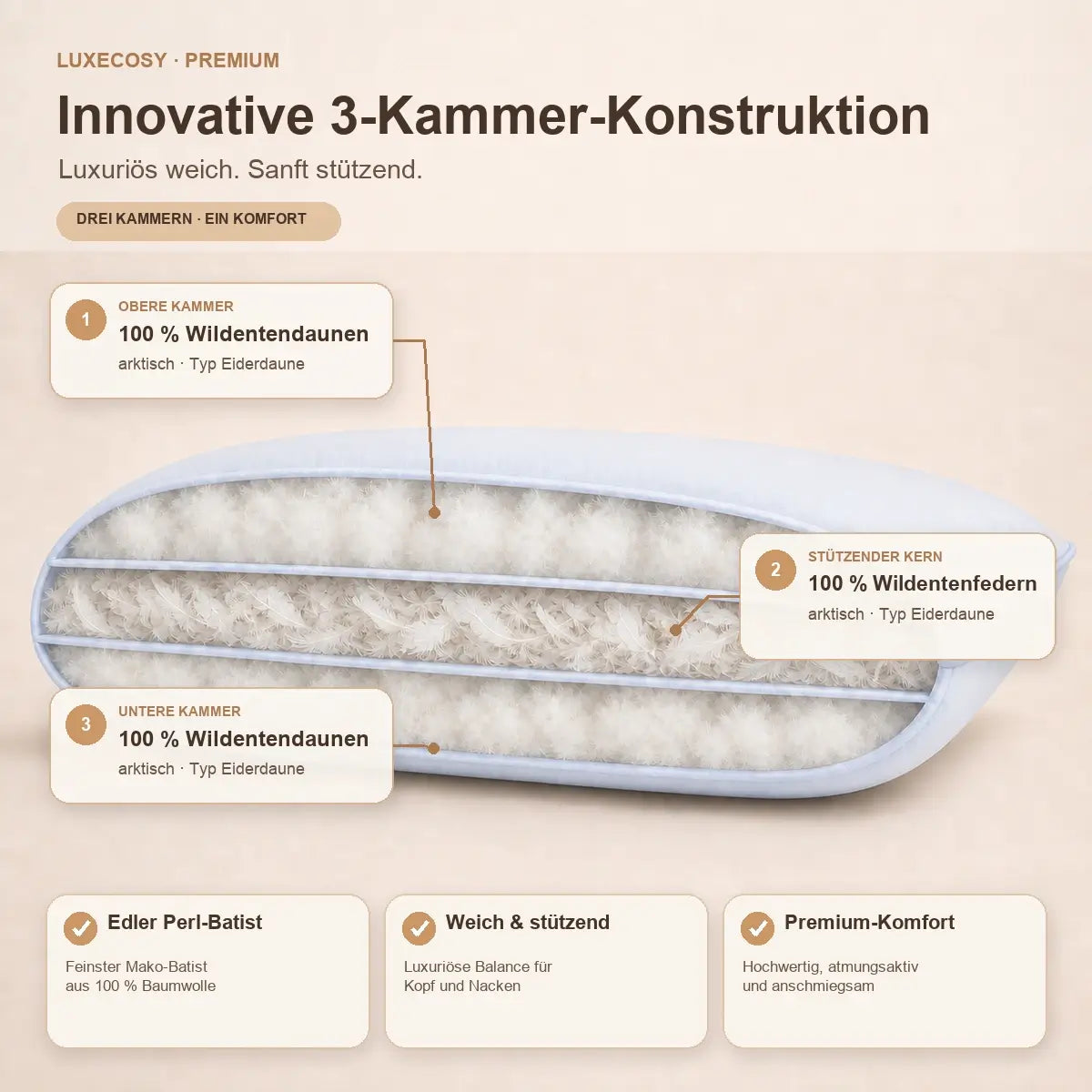 Infografik zum 3-Kammer-Aufbau des Premium Daunenkissens