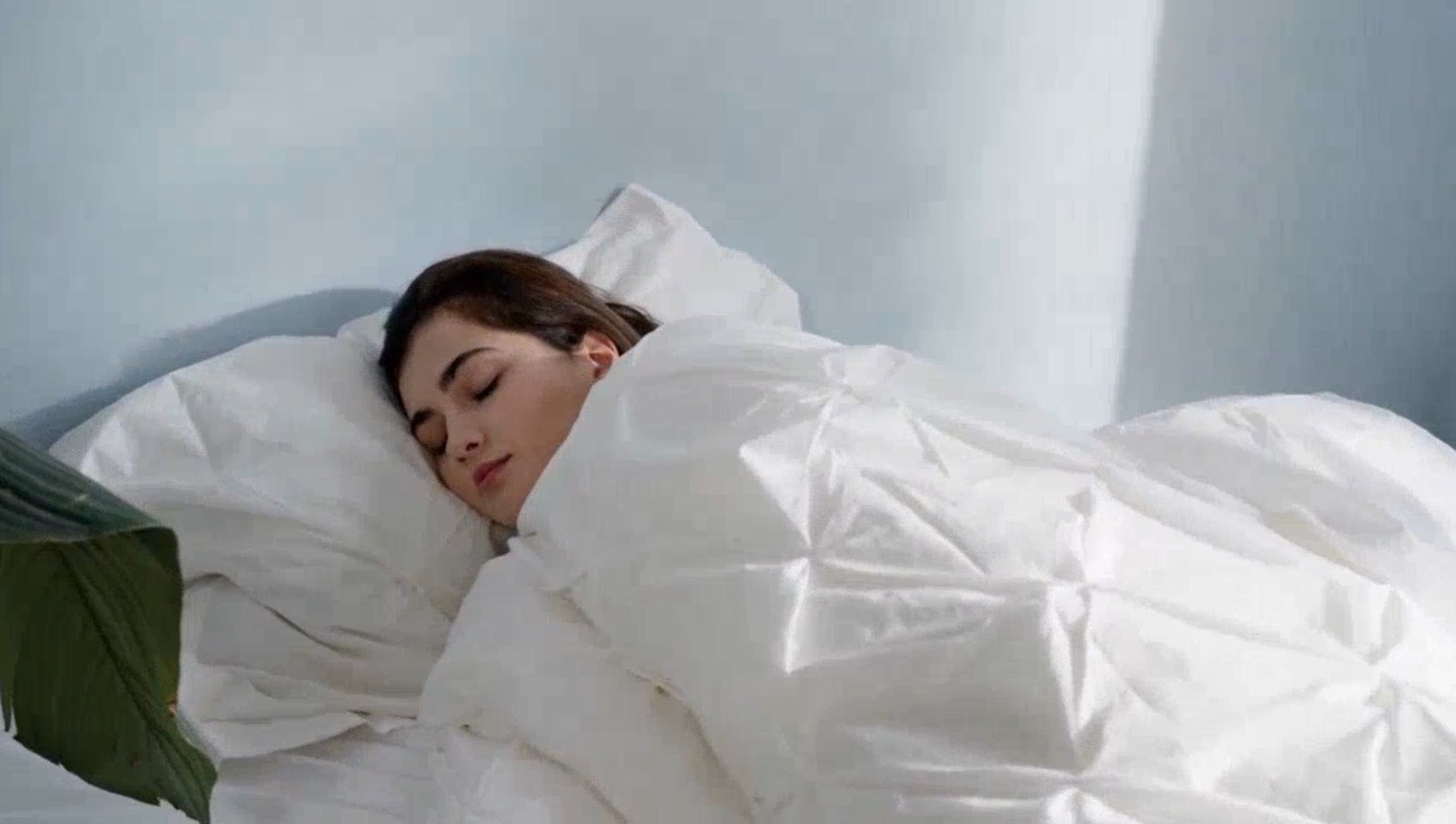 Erleben Sie königlichen Schlafkomfort mit der Royal Bio Kamelhaardecke – luxuriöse Wärme und Weichheit für Sie!