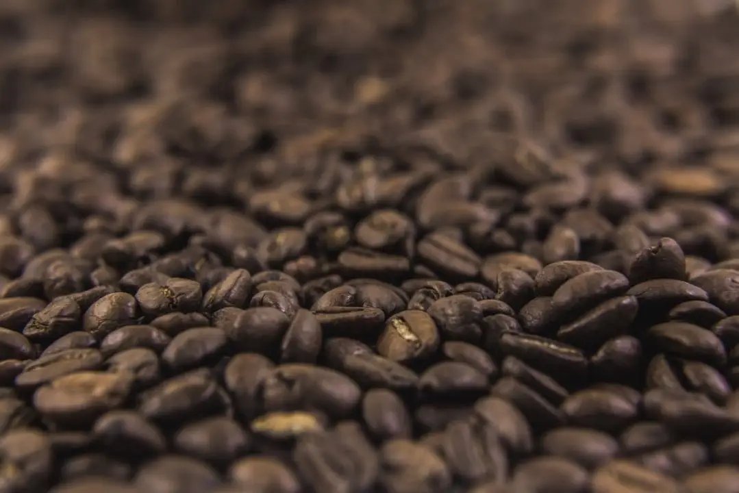 Ein Haufen frisch gerösteter Kaffeebohnen mit sichtbarer Textur und glänzender Oberfläche